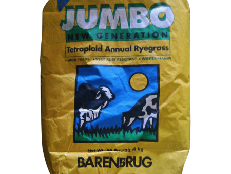 Jumbo Annual Ryegrass Seed For Sale