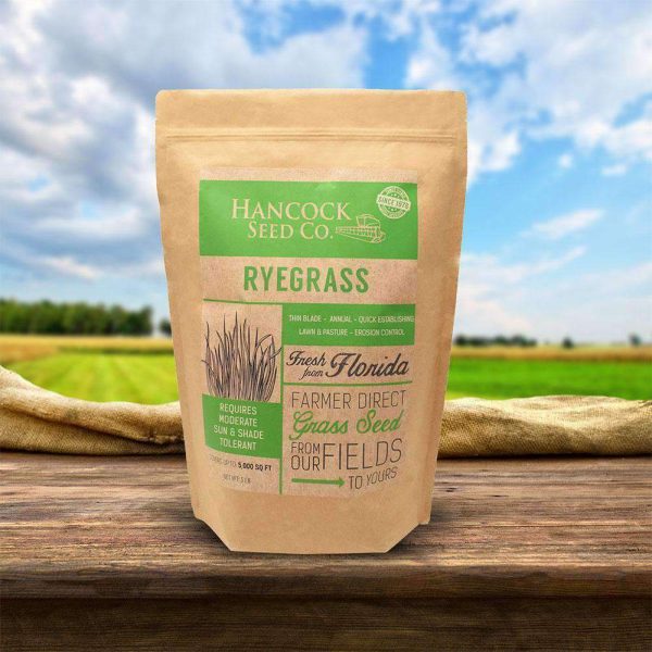 Hancock s Pasture Ryegrass Seed Supply